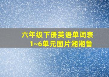 六年级下册英语单词表1~6单元图片湘湘鲁