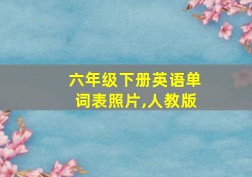 六年级下册英语单词表照片,人教版