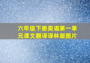 六年级下册英语第一单元课文翻译译林版图片