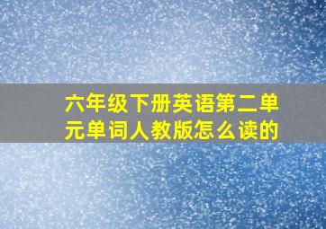 六年级下册英语第二单元单词人教版怎么读的