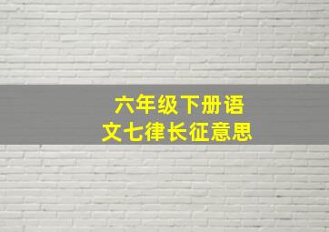 六年级下册语文七律长征意思