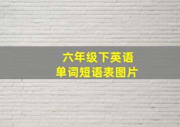 六年级下英语单词短语表图片