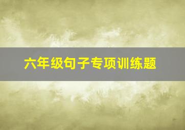 六年级句子专项训练题