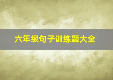 六年级句子训练题大全