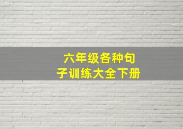 六年级各种句子训练大全下册