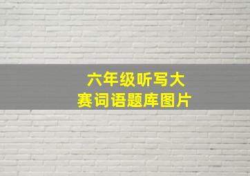 六年级听写大赛词语题库图片