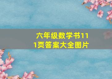 六年级数学书111页答案大全图片