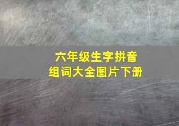 六年级生字拼音组词大全图片下册