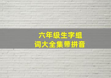 六年级生字组词大全集带拼音