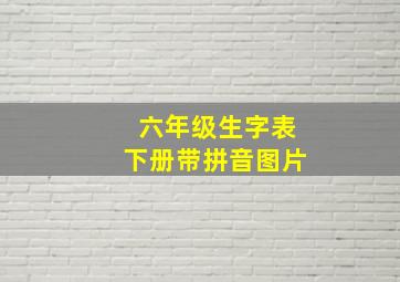 六年级生字表下册带拼音图片