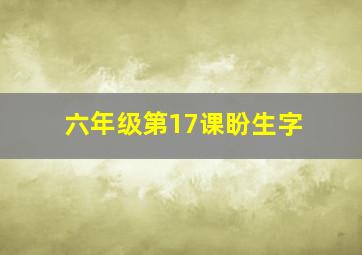 六年级第17课盼生字