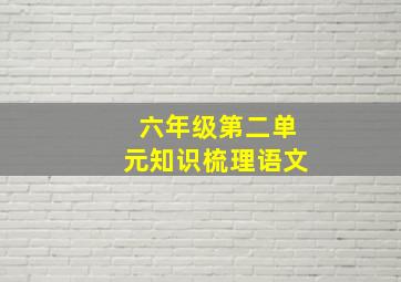 六年级第二单元知识梳理语文