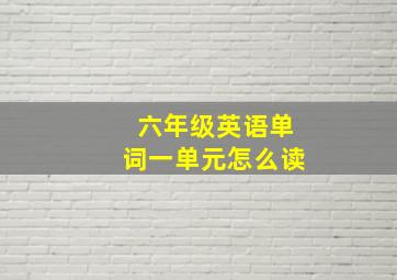 六年级英语单词一单元怎么读