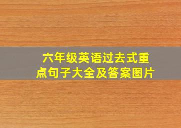 六年级英语过去式重点句子大全及答案图片