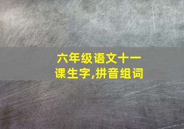 六年级语文十一课生字,拼音组词