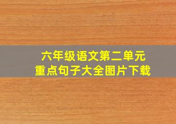 六年级语文第二单元重点句子大全图片下载