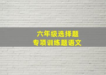 六年级选择题专项训练题语文