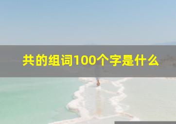 共的组词100个字是什么