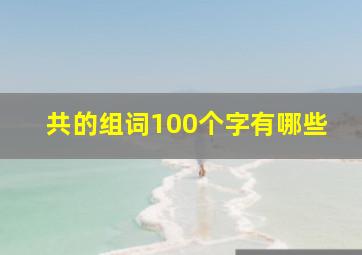 共的组词100个字有哪些