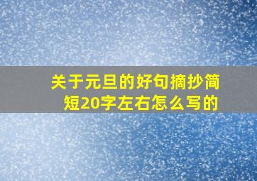 关于元旦的好句摘抄简短20字左右怎么写的