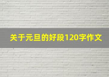 关于元旦的好段120字作文