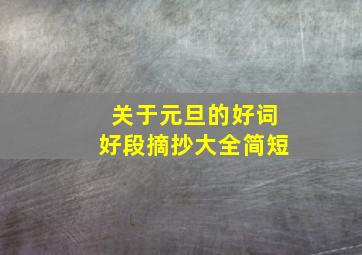 关于元旦的好词好段摘抄大全简短