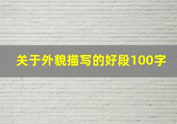 关于外貌描写的好段100字