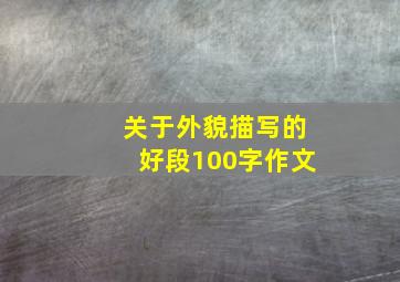 关于外貌描写的好段100字作文