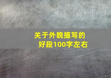 关于外貌描写的好段100字左右