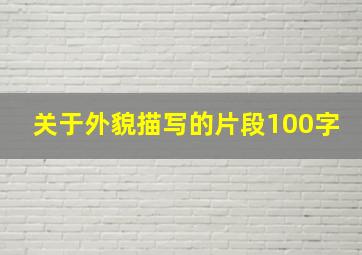 关于外貌描写的片段100字