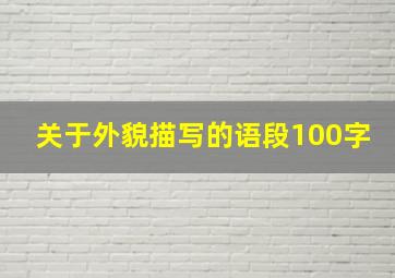 关于外貌描写的语段100字