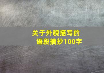 关于外貌描写的语段摘抄100字