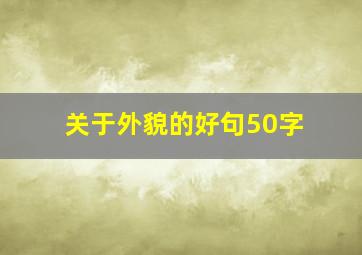 关于外貌的好句50字