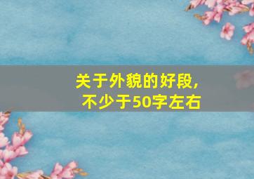 关于外貌的好段,不少于50字左右