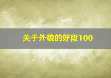 关于外貌的好段100