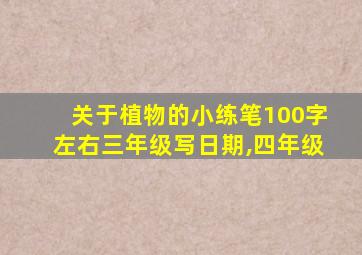 关于植物的小练笔100字左右三年级写日期,四年级