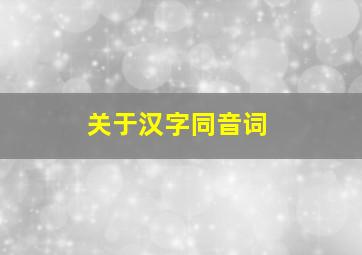 关于汉字同音词