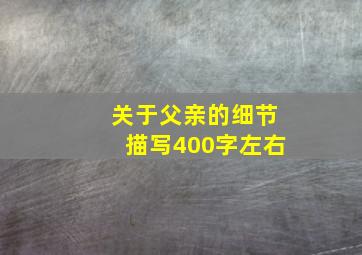 关于父亲的细节描写400字左右