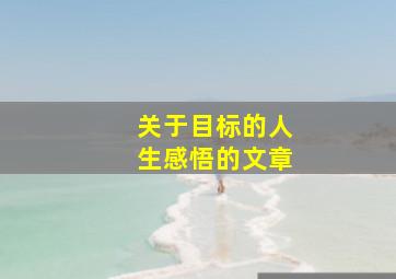 关于目标的人生感悟的文章