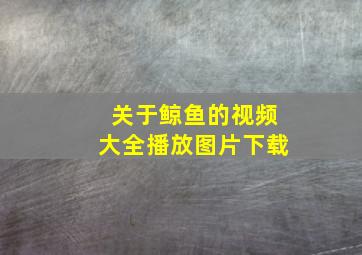 关于鲸鱼的视频大全播放图片下载