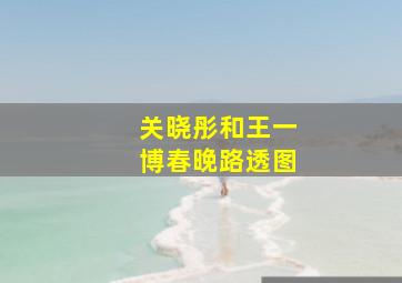 关晓彤和王一博春晚路透图