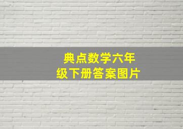 典点数学六年级下册答案图片