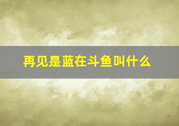 再见是蓝在斗鱼叫什么