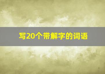 写20个带解字的词语