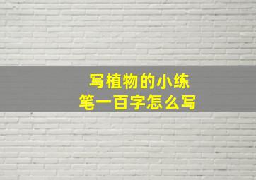 写植物的小练笔一百字怎么写