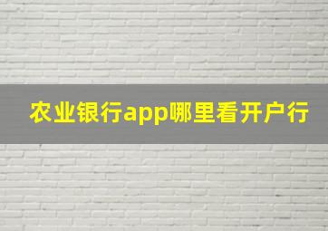 农业银行app哪里看开户行