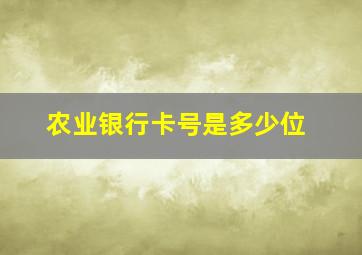 农业银行卡号是多少位