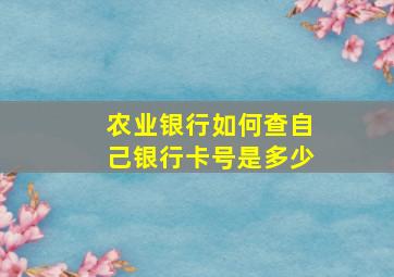 农业银行如何查自己银行卡号是多少