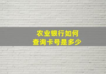 农业银行如何查询卡号是多少