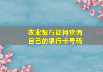 农业银行如何查询自己的银行卡号码